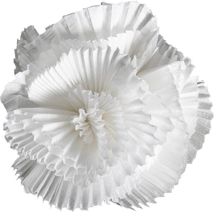 petal