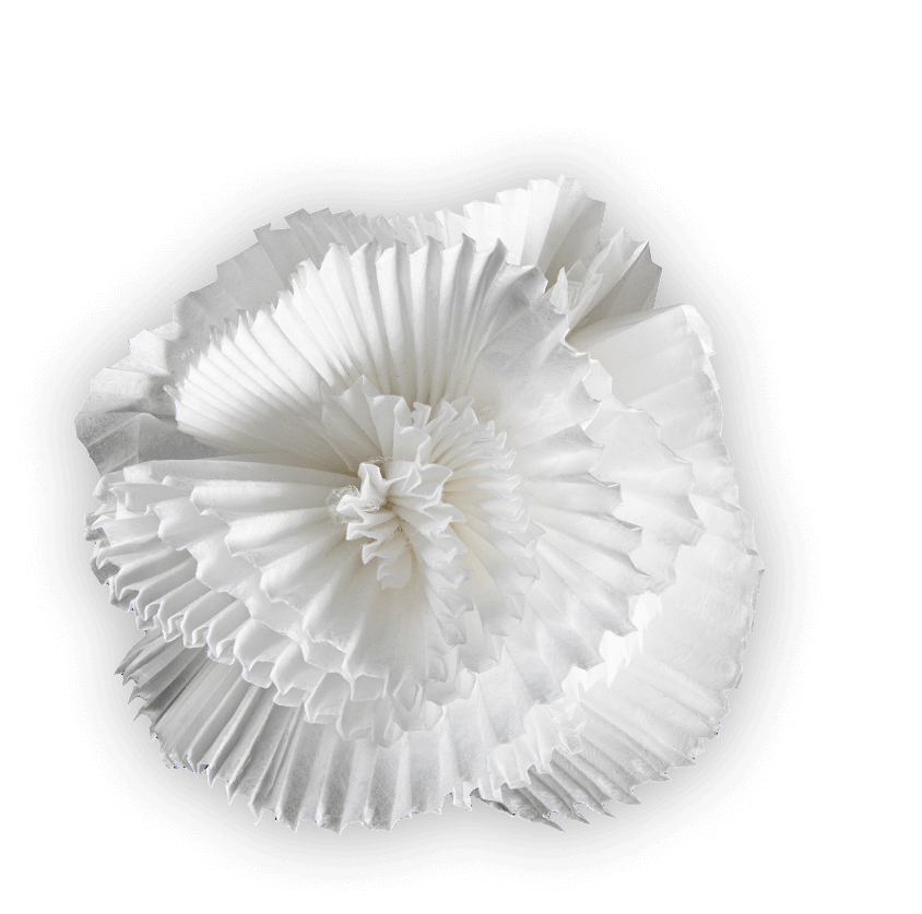 petal