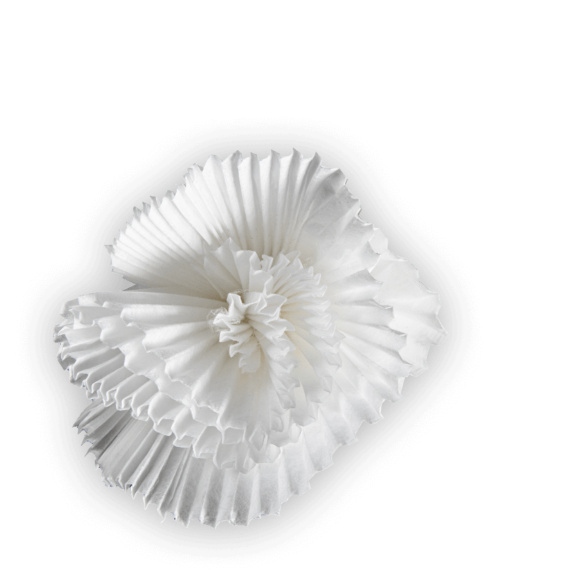 petal