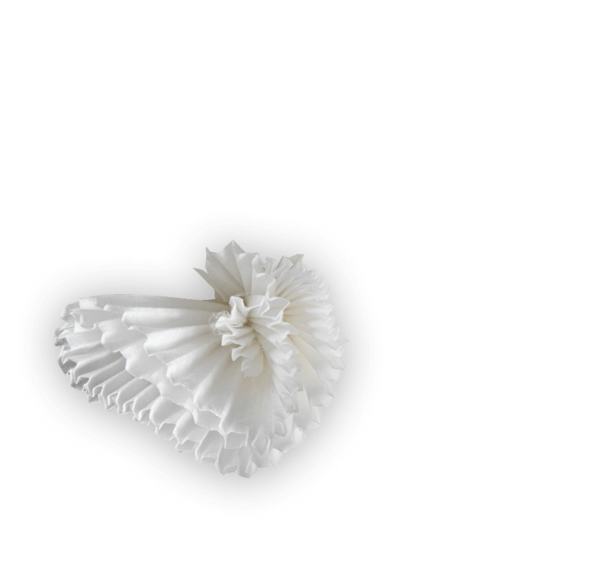 petal